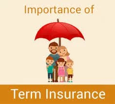 Types Of Insurance Policy